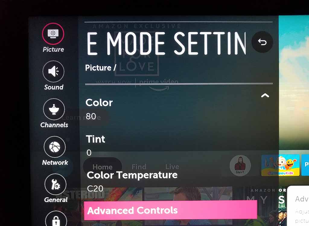 LG TV Advanced Control Option