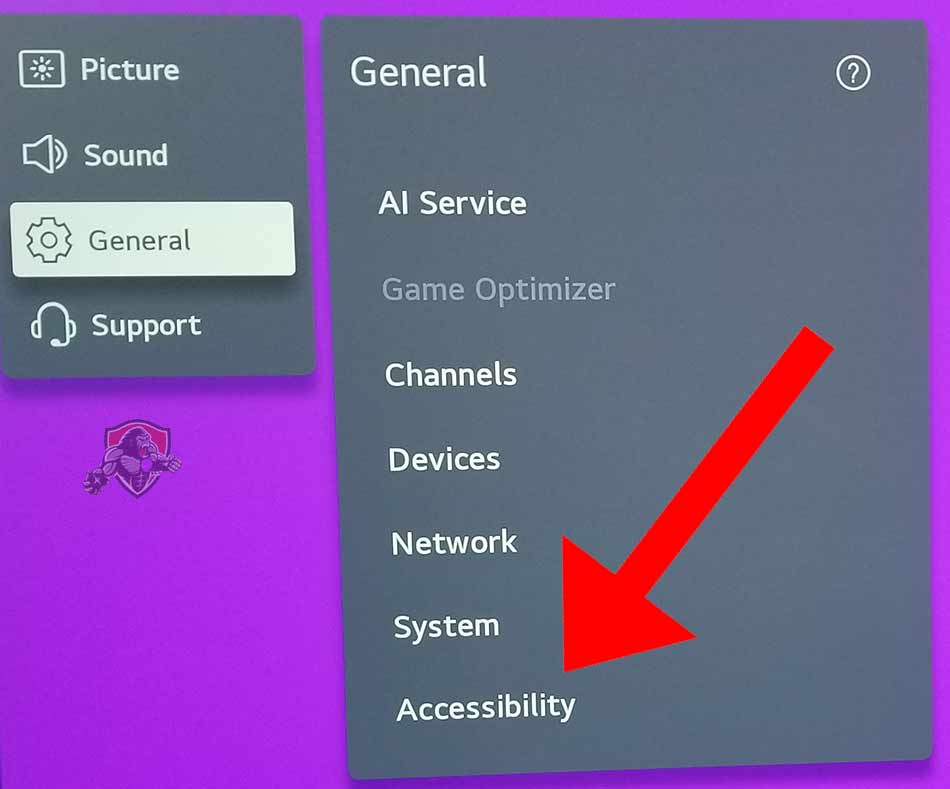 LG TV general and accessibility options