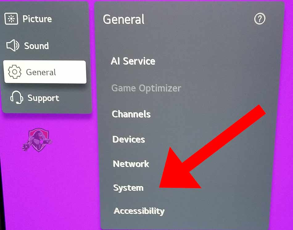 LG TV General and System settings