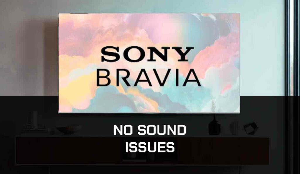 a photo of No Sound from Sony Bravia TV