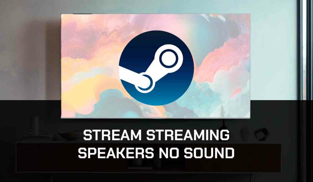 a photo of Steam streaming speaker no sound